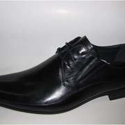 Туфли мужские TACCO. фото