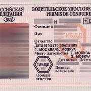 Водительское удостоверение в Крыму быстро. фото