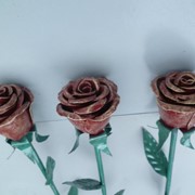 Железная роза фото
