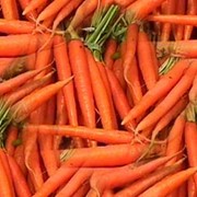Морковь свежая купить, морковь свежая Украина, Одесса