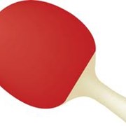 Ракетка для настольного тенниса фото