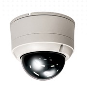 IP камера купольная внутренняя TRUEN TCAM-150