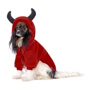 Tappi одежда Tappi одежда толстовка “Блади“ для собак, красный (S) фото