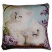 Антистрессовая подушка “Кошки“ 29х29 фотография