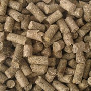 Корма зерновые фото