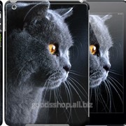 Чехол на iPad 5 Air Красивый кот 3038c-26 фотография