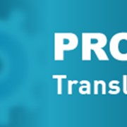 PROMT Translation Server 10 Энергетика Enterprise, а-р-а, одна лиц. (Компания ПРОМТ) фотография