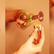 Ножницы для перепелиных яиц фото