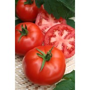 Семена томатов F1 Митридат фото