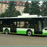 Тролейбус Богдан T 60111 фото