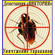 Уничтожение тараканов, дезинфекция, дезинсекция, дератизация в Алматы, услуги по дезинсекции в Алматы фото