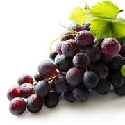 Синий виноград фото
