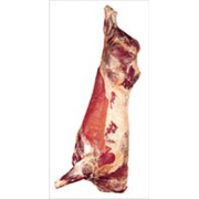 Мясо говяжье полутуши фотография