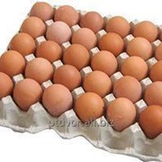 Яйцо фермерское диетическое