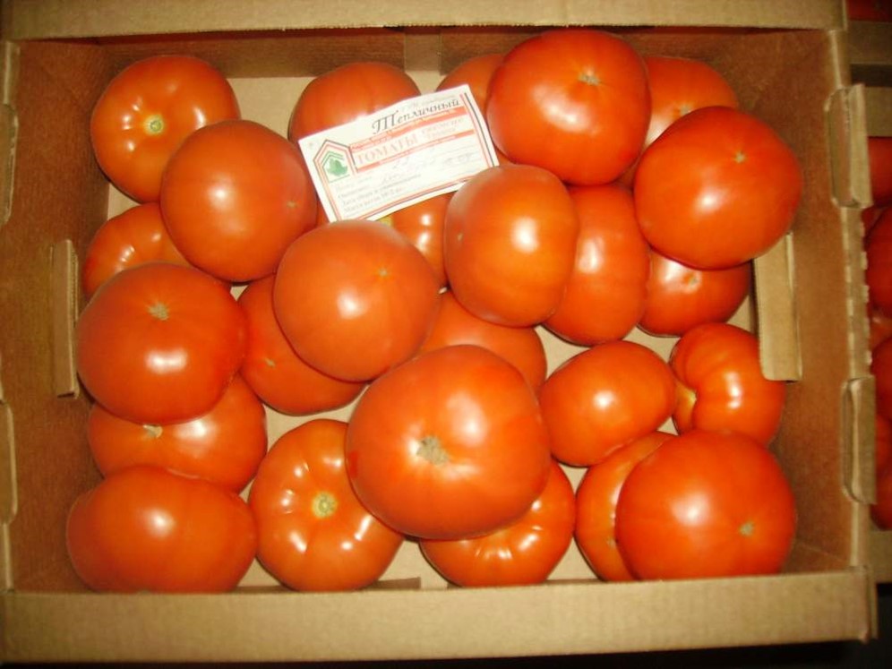 Купить Оптом Помидоры Тепличные Ростовская Область