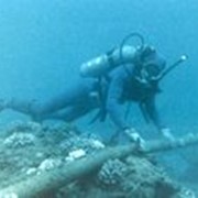 Подводный кабель фото