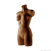 Манекен женский, торс, скульптурный, большого размера, цвет коричневый. MD-PERFORMANCE Тип 29 Кор фото