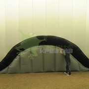 Большие воздухоопорные шатры фотография