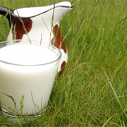 Молоко коровье натуральное оптом от производителя фото
