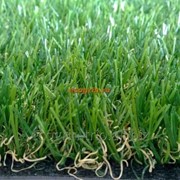 Искусственная трава София фото