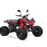 Квадроцикл ATV125cc Sport