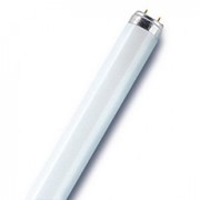 Лампа люминесцентная L 18W/640 ( d=26 мм )