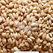Крупы пшеничные