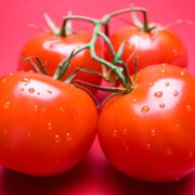 Помидоры Астерикс, купить помидоры оптом элитных сортов Украина