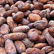 Какао бобы сырые 100 г Гана