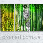Модульна картина на полотні Бамбук код КМ6090-245 фото