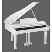 Цифровой рояль (дисклавир) ORLA GRAND 310 фото