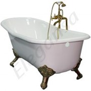 Чугунные ванны Elegansa