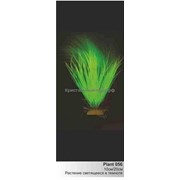 Светящиеся растения : Растение Plant 056 светящееся в темноте, 10см