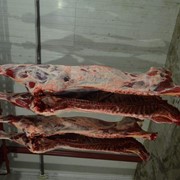 Мясо яловичини 1 категорії охолоджене