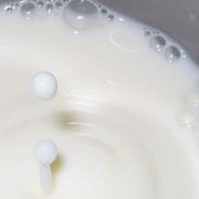 Молоко коровье свежее фотография