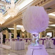 Свадебные услуги в Алматы. Драпировка тканью, оформление страусиными перьями фото