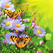 Салфетка для декупажа Луг и бабочки фотография
