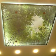 Потолки стеклянные