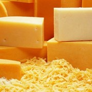 Сыр Шляхтинский 40%вес. (Любань) фото