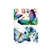 Альбом для рисования Бабочки фото