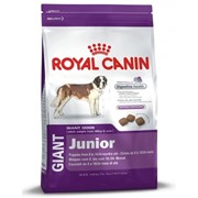 Giant Junior Royal Canin корм для щенков, От 18 до 24 месяцев, Пакет, 15,0кг фото