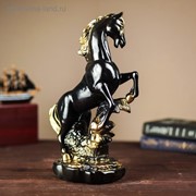 Сувенир “Конь на дыбах“, чёрный, 38 см, микс фото