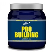 Pro Building ВСАА 4:1:1 Pro Nutrition 500 грамм фото