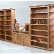 Мебель для домашних библиотек фотография