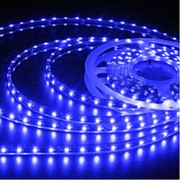 Светодиодная лента LED 12V 5 метров интерьерная (Синяя) фотография
