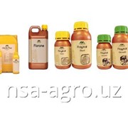 Листовая подкормка для бахчевых культур Атланте фото