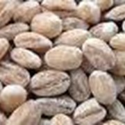 Крупа перловая фото