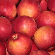 Яблоки голден фото