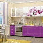 Кухня орхидея фиолетовая от 1,6М