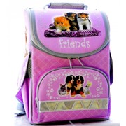 Школьный рюкзак Zibi для девочек FRIENDS ZB14.0102FR фото